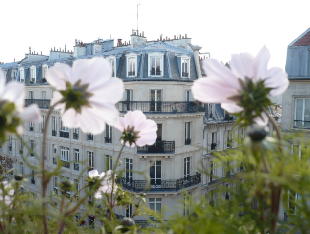 Conférence publique « Les villes nature : utopie ou réalité ? »