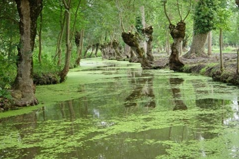 « La Mémoire des Etangs et des Marais »