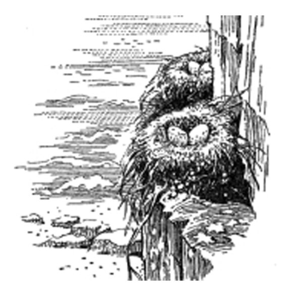 cross pollination – 19.10.11 – programme citizen power (uk)