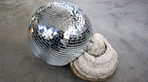 Exposition d&rsquo;Aurélie Slonina : Vegetal Invaders #1