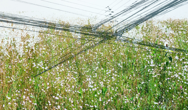 « Le vivant et son énergie » – Appel à créations d&rsquo;artistes