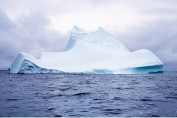 Weather Report. Climate Change and Visual Arts.