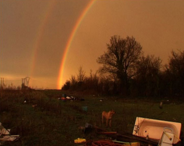Jean-Charles Hue à l&rsquo;honneur au Musée de la Chasse et de la Nature