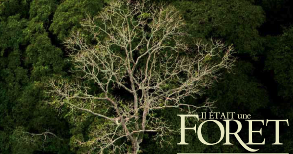 Exposition Il était une forêt, regards d&rsquo;artistes