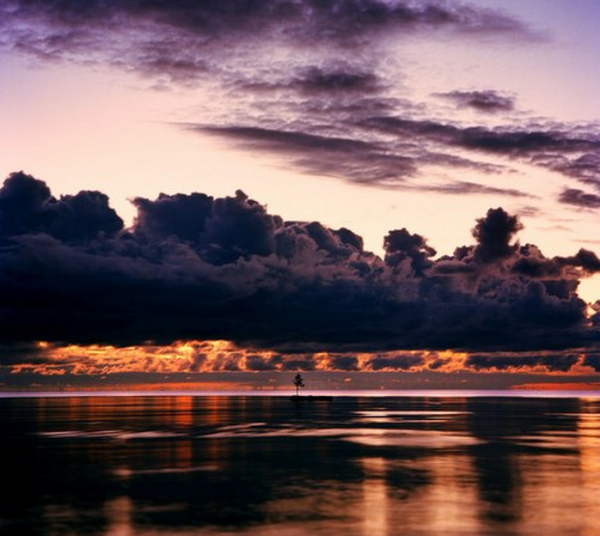 Exposition d&rsquo;Antti Laitinen à la Nettie Horn Gallery