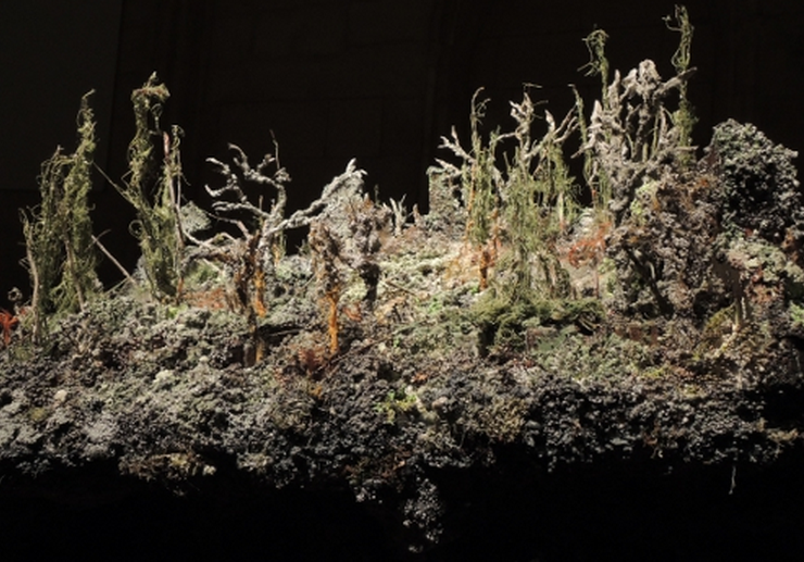 E. Benoist, Micro-mousse (détail) 2011. Courtesy Shcool galerie, Paris