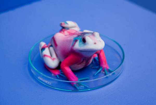 Appel à projet – Résidence d&rsquo;été « Bio Art »