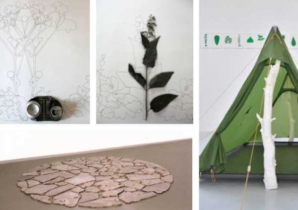 L&rsquo;herbier : marcher, classer, nommer le paysage