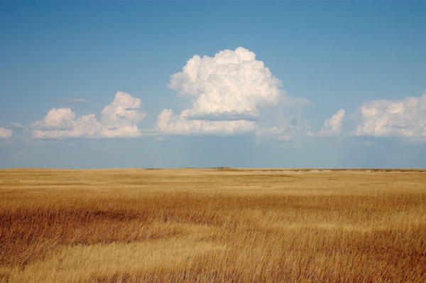 Rencontres et Résidences – Labo autour de l&rsquo;écologie profonde