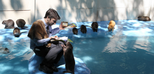 Nouvelles Perspectives ‘Arts et environnement’ : Appel à contributions ouvert jusqu&rsquo;au 15 juin