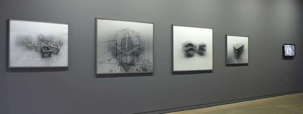 &lsquo;Fertile Lands&rsquo; une exposition à la Fondation d&rsquo;Entreprise Ricard