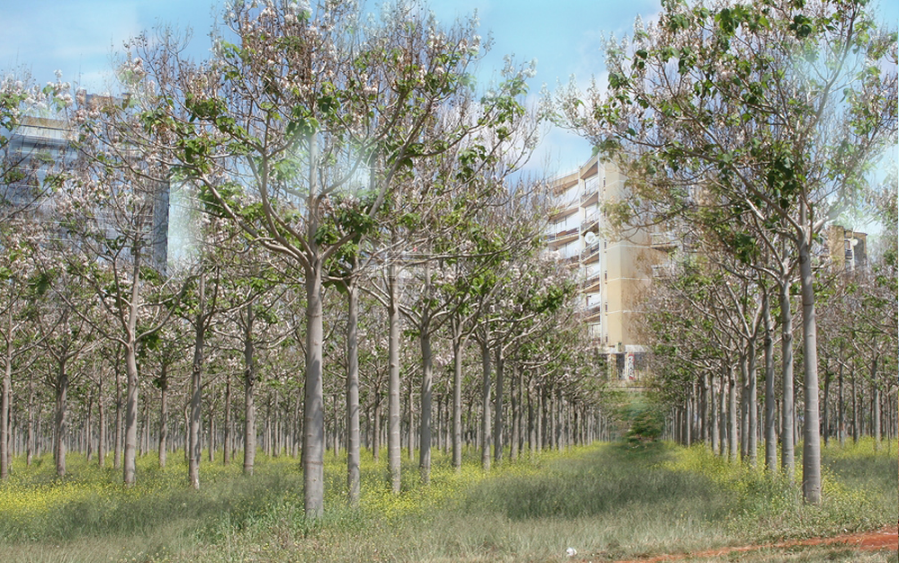 © Thierry Boutonnier