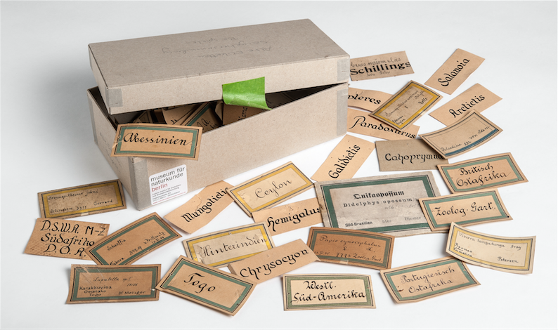 Bryce Etikettenkiste - credit : Carola Radke