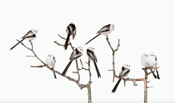 Exposition Rencontres d&rsquo;été à la Galerie La Ferronnerie