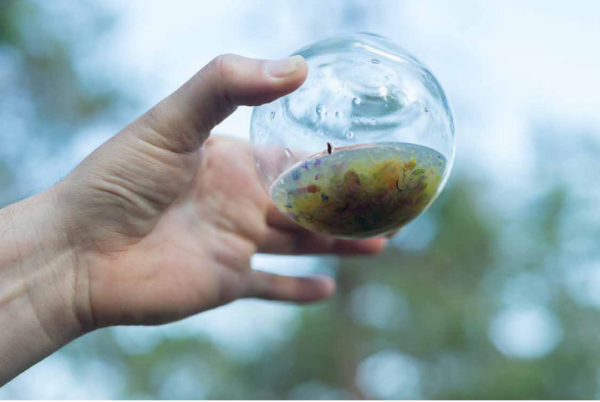 Le duo d&rsquo;artistes Aurélie Pétrel et Vincent Roumagnac à la Galerie Escougnou-Cetraro