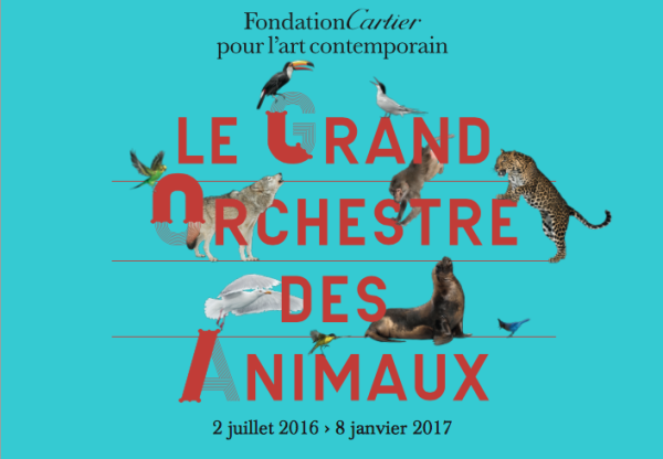 Exposition Le Grand Orchestre des Animaux à la Fondation Cartier pour l&rsquo;art contemporain