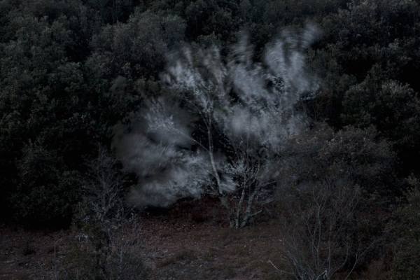 Exposition « Juste avant l&rsquo;horizon, le paysage » au Théâtre de Privas