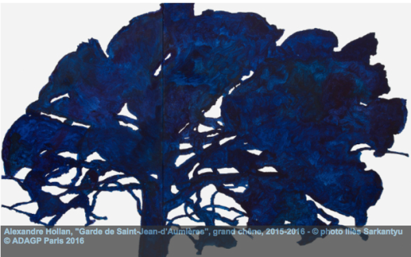 Exposition hors-les-murs du musée de Lodève : « Questions aux arbres d&rsquo;ici »