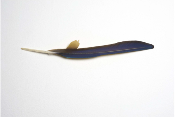 Exposition « Au fil de l&rsquo;eau » au Musée Manoli