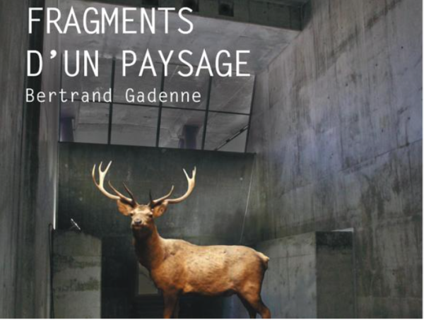 PILE-PONT EXPO « FRAGMENTS D&rsquo;UN PAYSAGE » – BERTRAND GADENNE