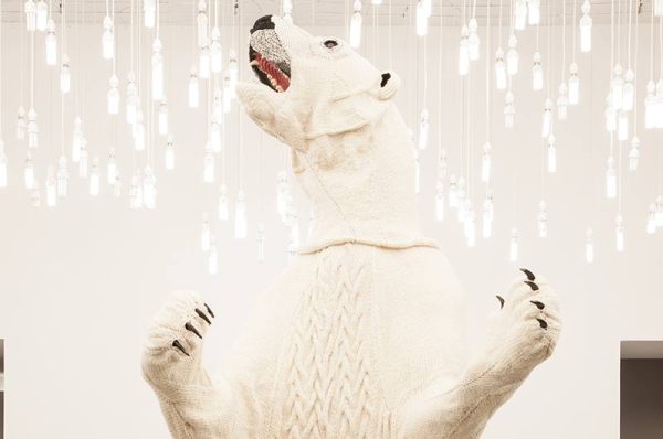 Rencontre « De quoi l&rsquo;ours blanc est-il l&rsquo;icône ? »