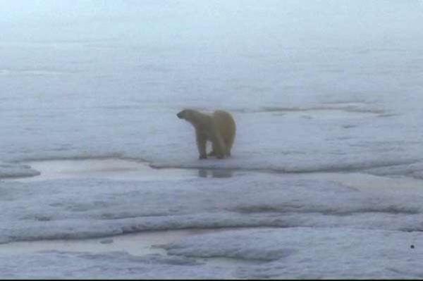 Projection « Les Hommes » d&rsquo;Ariane Michel