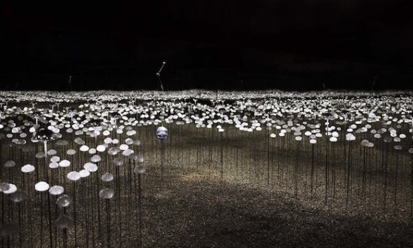 Exposition collective « L&rsquo;impermanence »