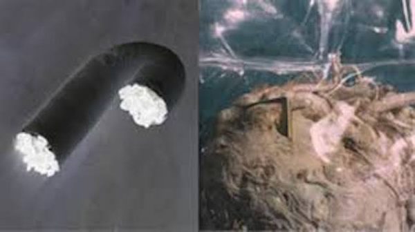 Exposition « Cool Coal Loop » d&rsquo;Elsa Farbos