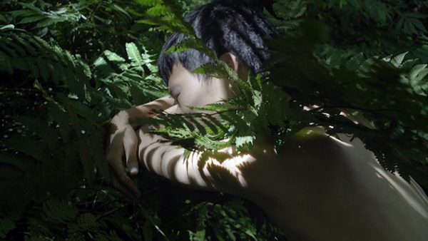 Exposition WEED PARTY III de l&rsquo;artiste Zheng Bo, Parco Arte Vivente, Turin