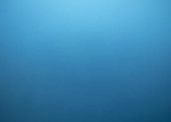 APPEL À PROJETS – PRIX COAL 2025 : EAU DOUCE