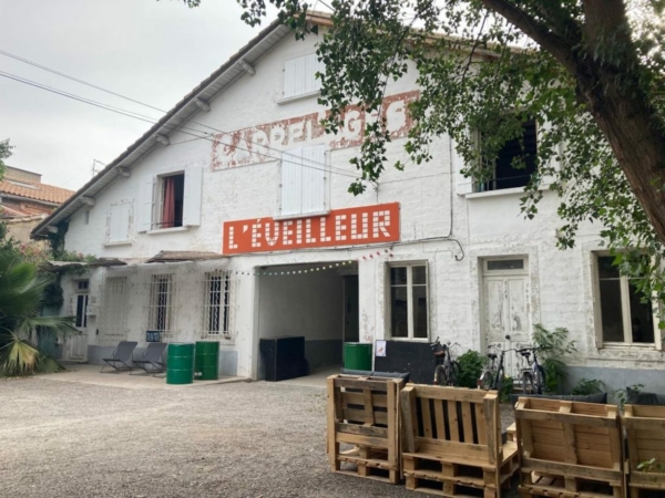 SEED – Social Ecological Engagement through Dance