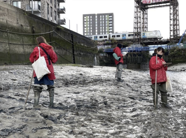 MA Art & Ecology – Goldsmiths