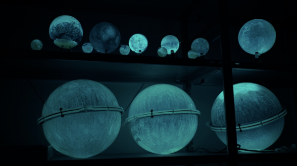 Bestiaire de lumière – Jeremie Brugidou