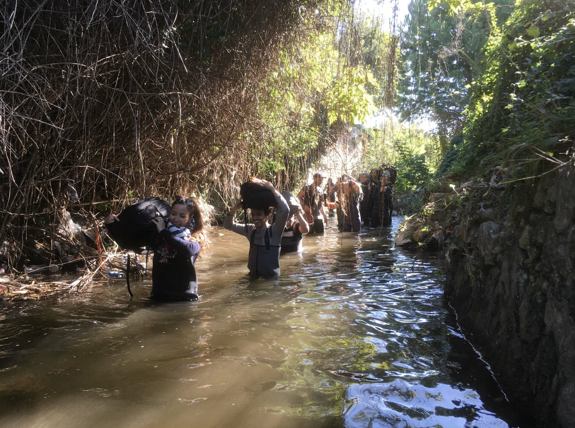 Hydro-plein-de-choses – Les Gammares