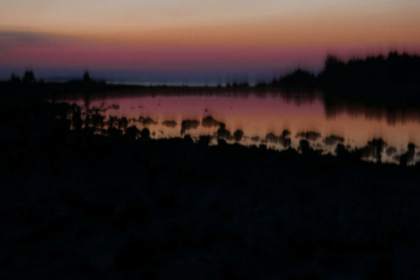 La ville, la cabane, la forêt et les champs  – Centre d&rsquo;art contemporain de Meymac