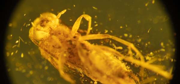 Captifs du Temps – Philharmonie de Paris